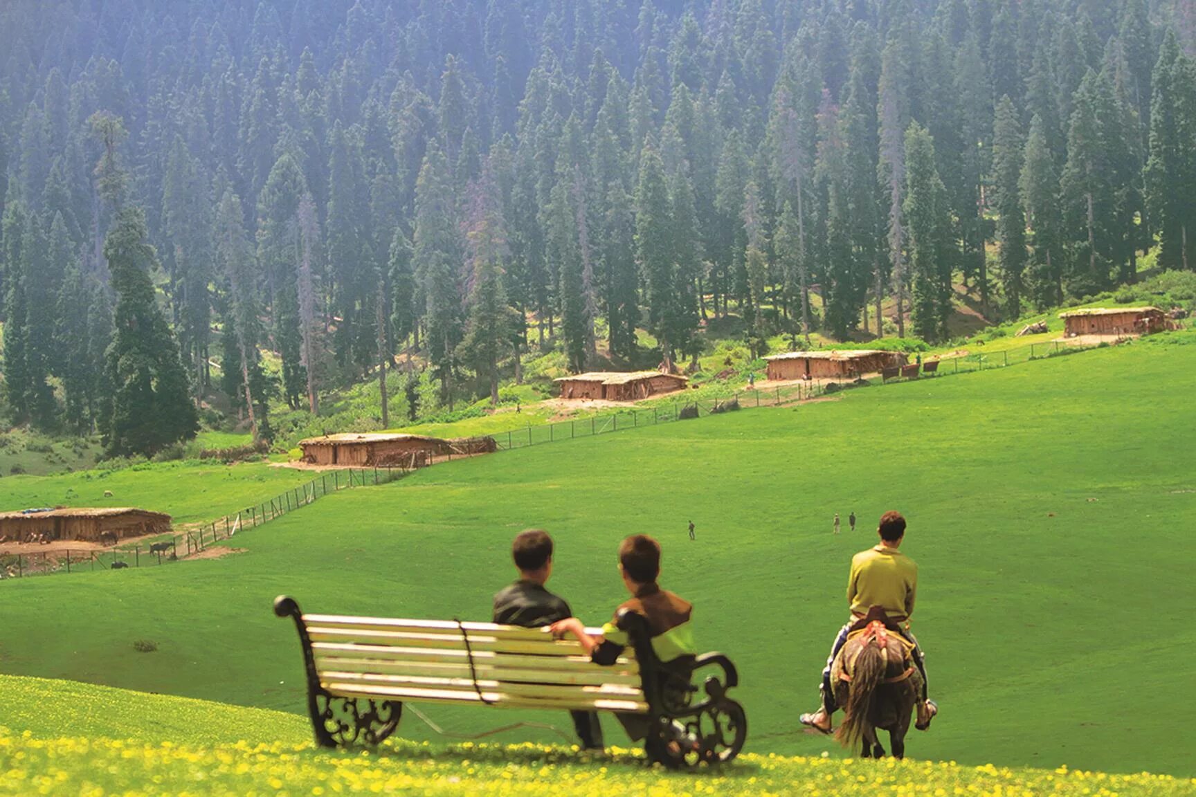 People lived living in the countryside. Кашмир природа. Кашмир лестница. Деревня дома Кашмир. Summer in the countryside.