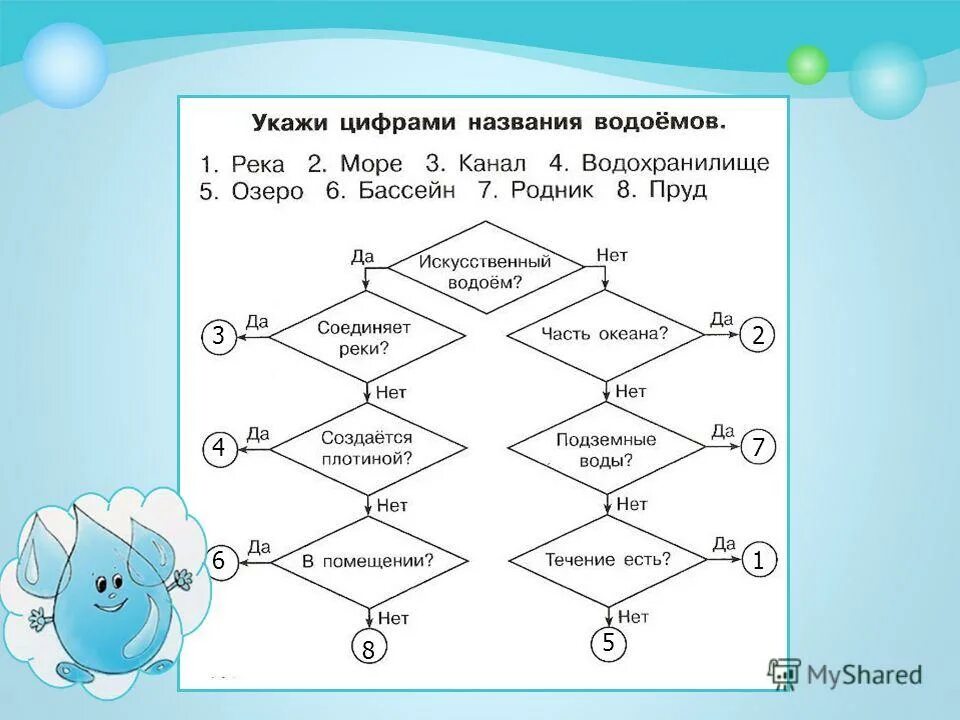 Водоемы созданные человеком. Укажи цифрами названия водоемов. Виды водоемов. Растительный мир водоемов. Укажи название водоемов.