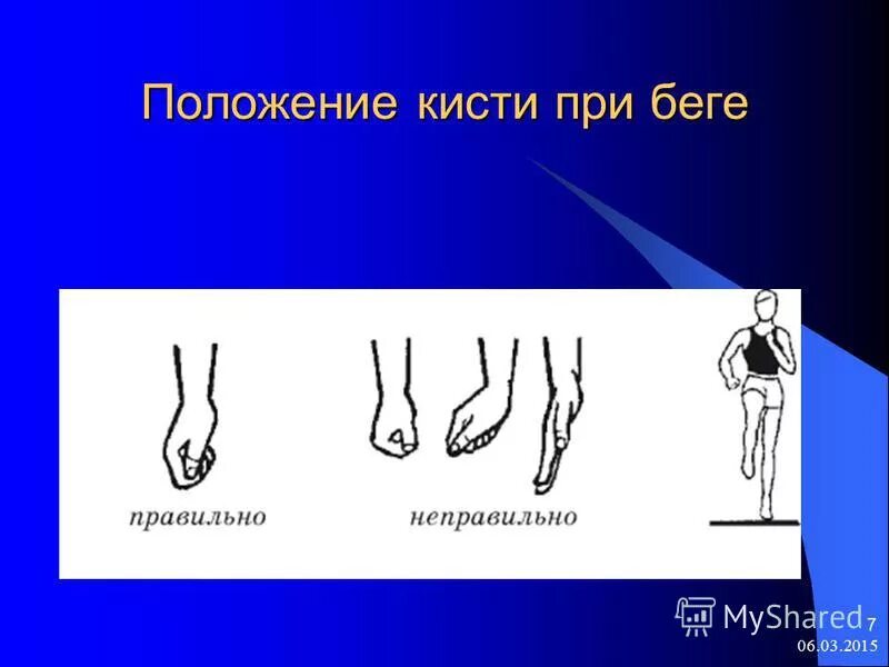 анатомия рук для рисования. положение кистей рук. положение кистей. расположение рук на мяче волейбол. положение кисти.