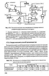 Совместное присутствия