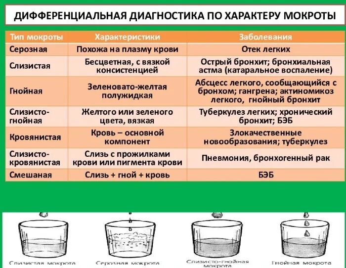 Мокрота при простуде. Общий анализ мокроты. Мокрота виды и характеристика. Мокрота нормальные показатели.