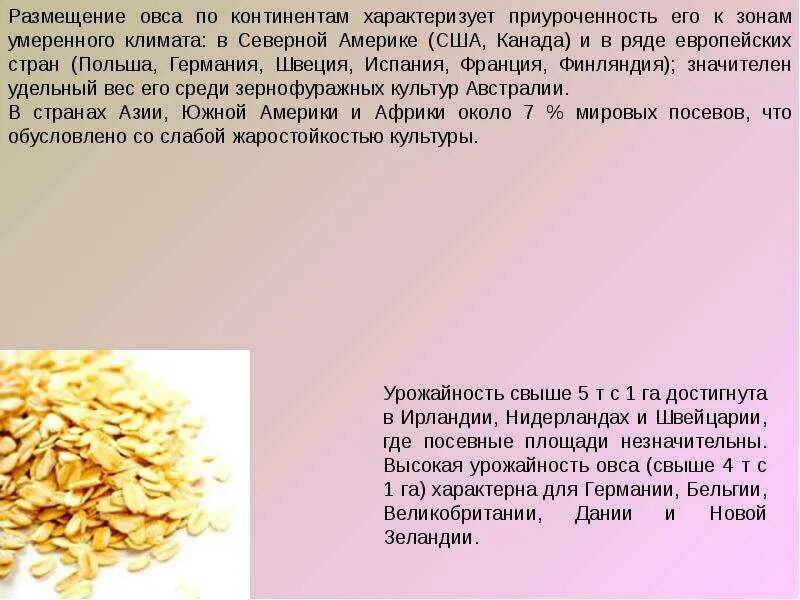 Овес инструкция по применению. Овес характеристика. Условия возделывания овса. Болезни для овса для презентации. Для чего полезен овес.