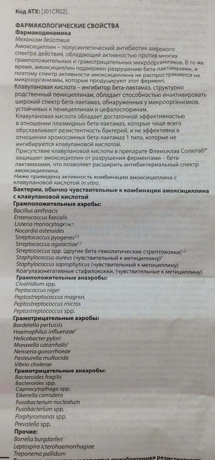 Солютаб инструкция по применению для детей. Флемоклав 250 детям дозировка. флемоклав 250 детям инструкция. флемоклав солютаб 250 детям дозировка. флемоклав солютаб 250 мг+62.5 инструкция.