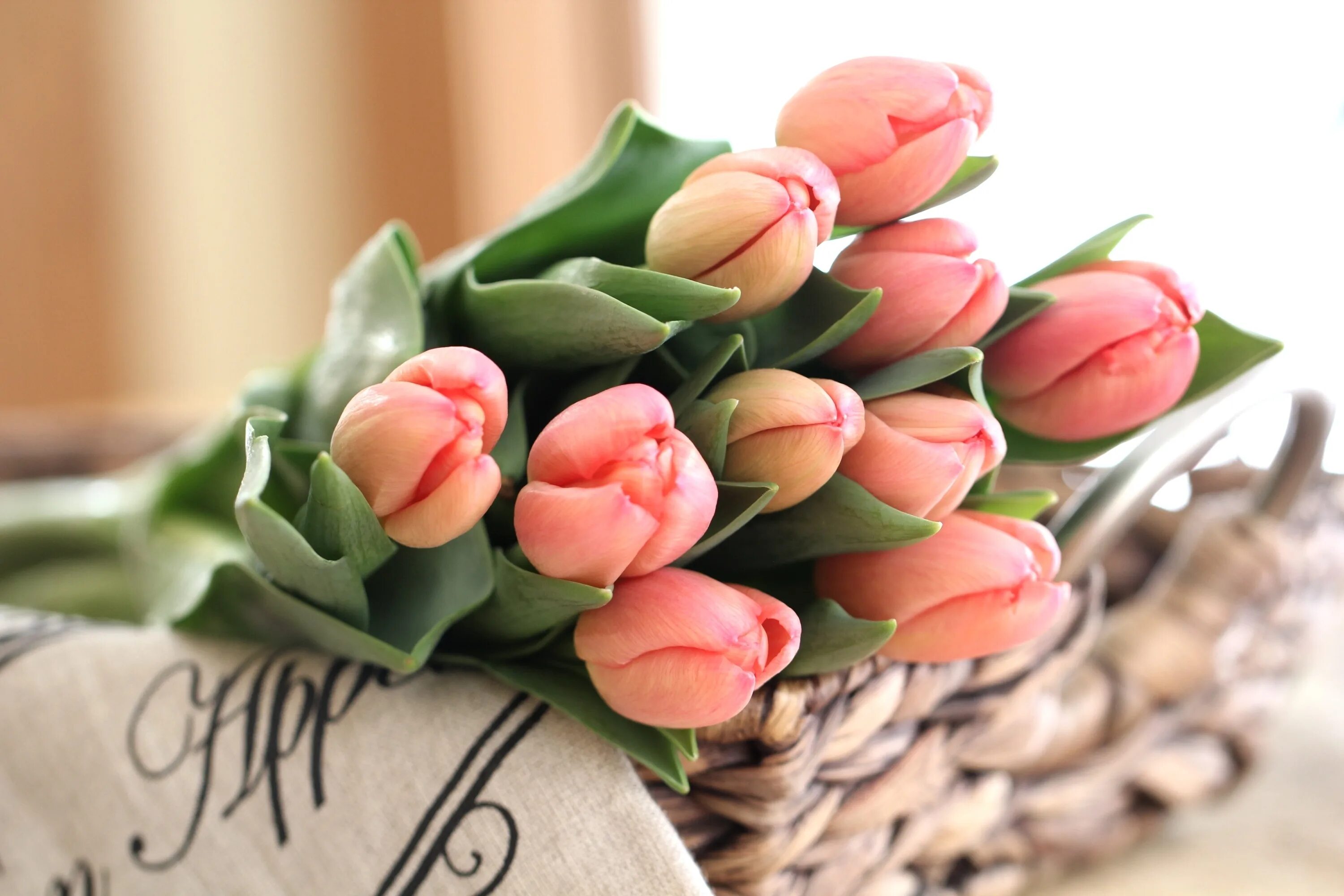 Стильный букет тюльпанов. Нежные тюльпаны. Букет тюльпанов. Красивый весенний букет.