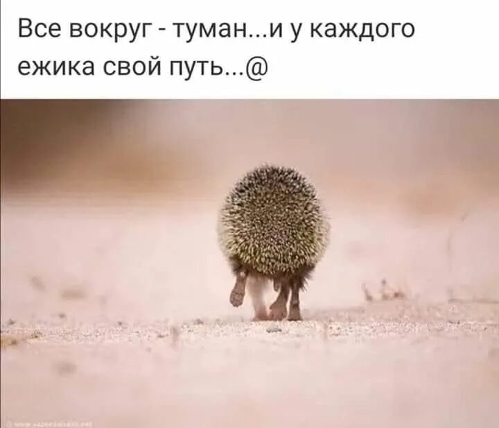 И я убегаю от тебя прости