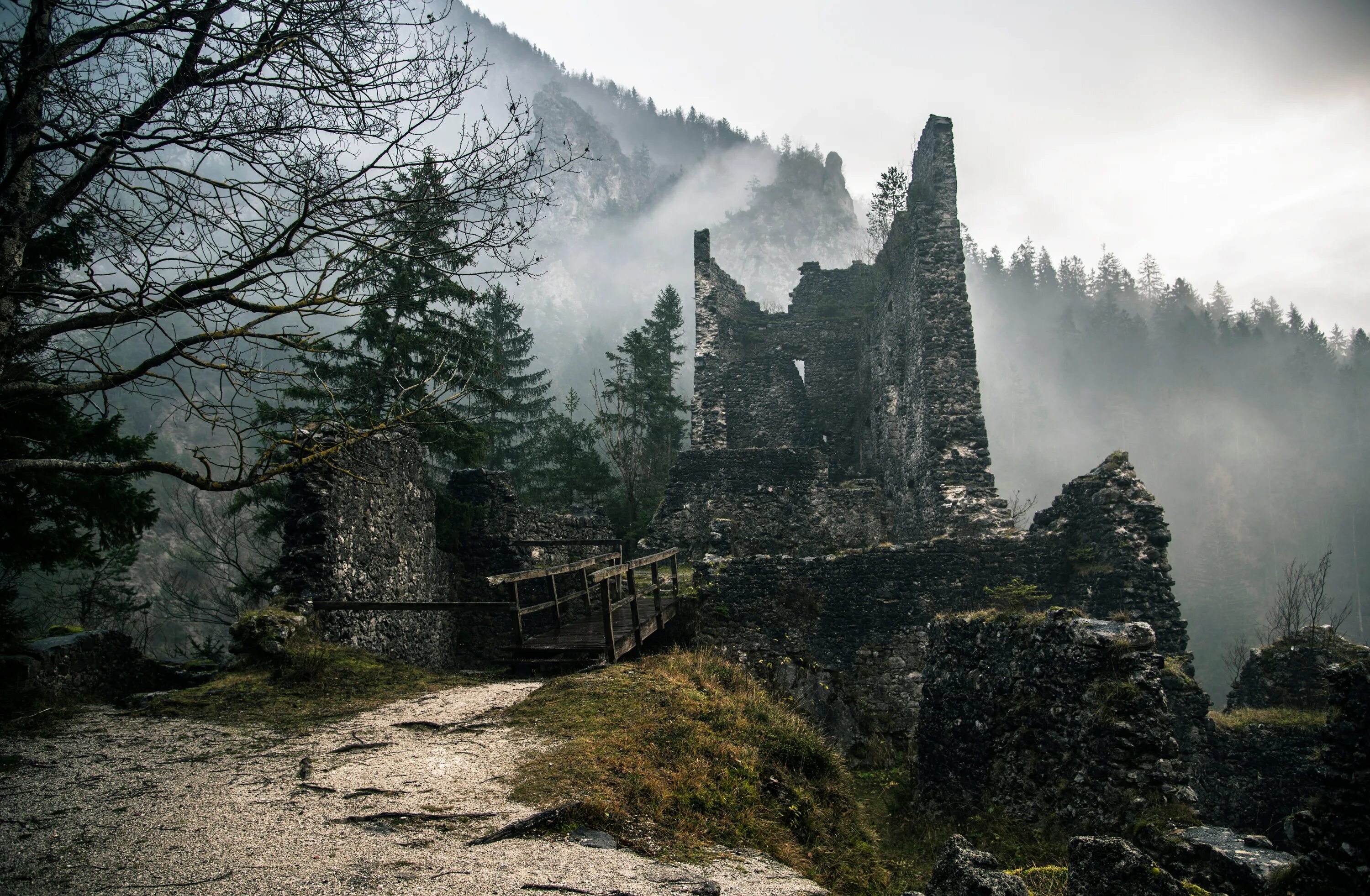 Заброшенный замок дуналастер Шотландия. Замки Скандинавии. Замки Скандинавии руины. Развалины замка Клифф, Германия. Забытые скалы