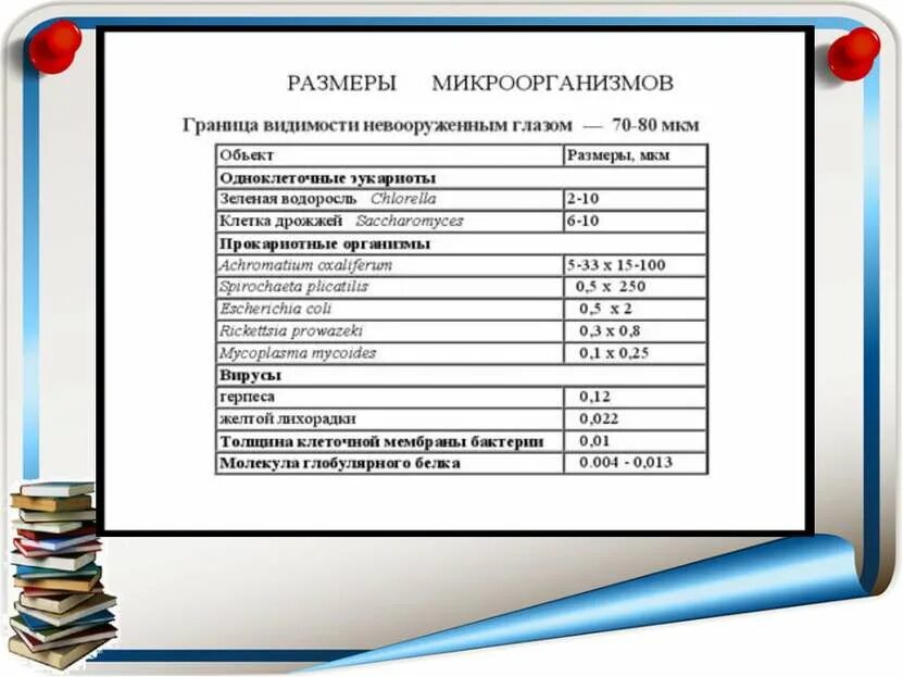 Размеры микробов бактерий и вирусов. Размеры микроорганизмлар. Размеры микроорганизмов. Сравнительные размеры микроорганизмов. Классы по хальбваксу.