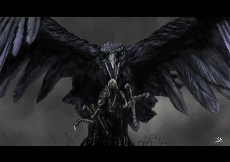 Dark souls ворона снаггли. Ворон 46 серия. Dark souls ворона босс. Рыцари вороны dark souls 3. Dark souls ворона.