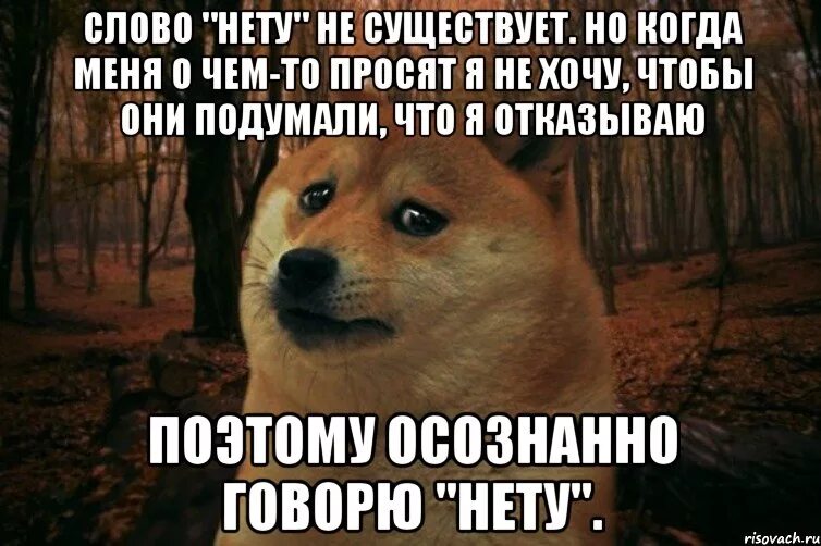 Есть ли слово ничто. Не тот. Есть слово нету. Нет такого слова нету в русском языке. Есть ли слово нету в русском языке.