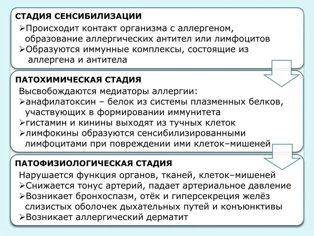 Развитие происходит в 4 стадии. Стадии аллергии. этапы развития аллергии. стадия сенсибилизации. фазы аллергической реакции.