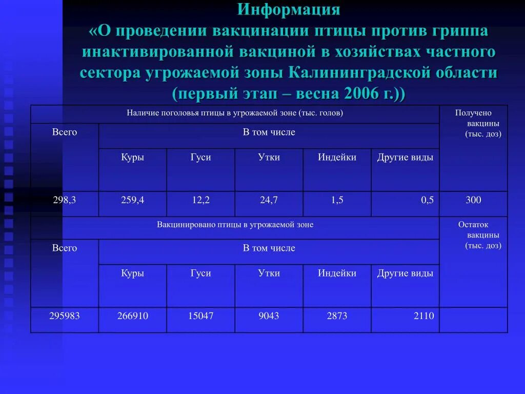 Вакцинация птиц против птичьего гриппа. Вакцинация птицы против гриппа птиц. Прививка от птичьего гриппа для птиц.