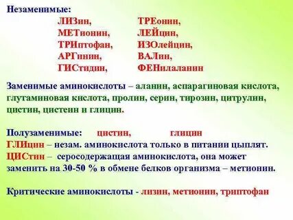 Лизин является незаменимой