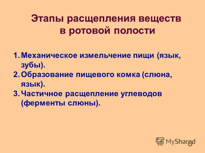 В ротовой полости начинается расщепление. Ферменты расщепляющие углеводы. всасывание веществ в ротовой полости. углеводы расщепляются в ротовой полости. фермент расщепляющий углеводы в ротовой.