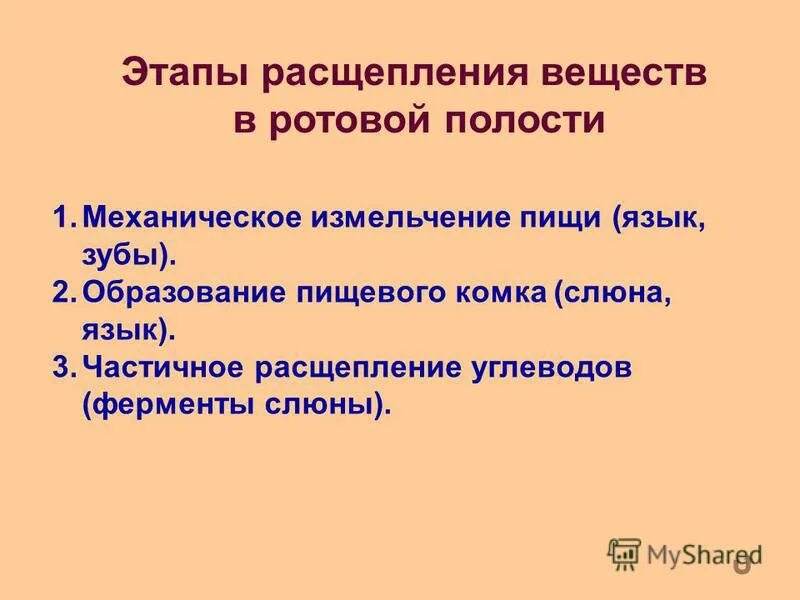 Вещества расщепляющиеся ферментами слюны