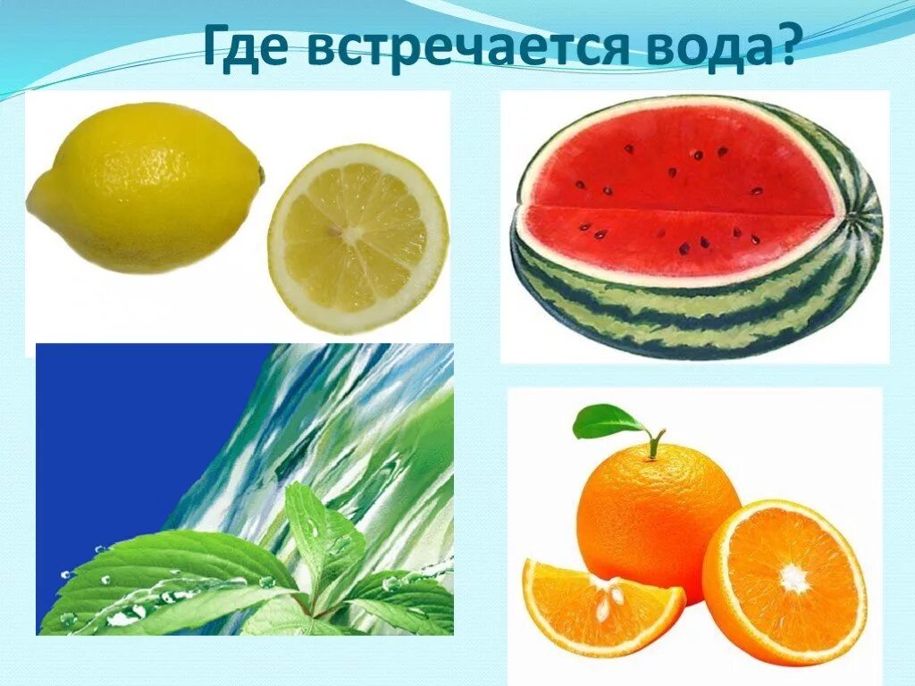 Где есть вода. Где встречается вода. Картинки где есть вода. Где в природе встречается вода.