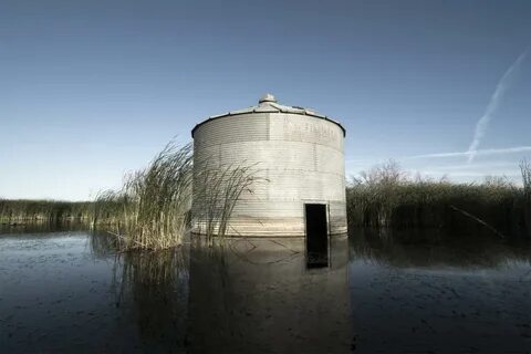 Вода поглощенная