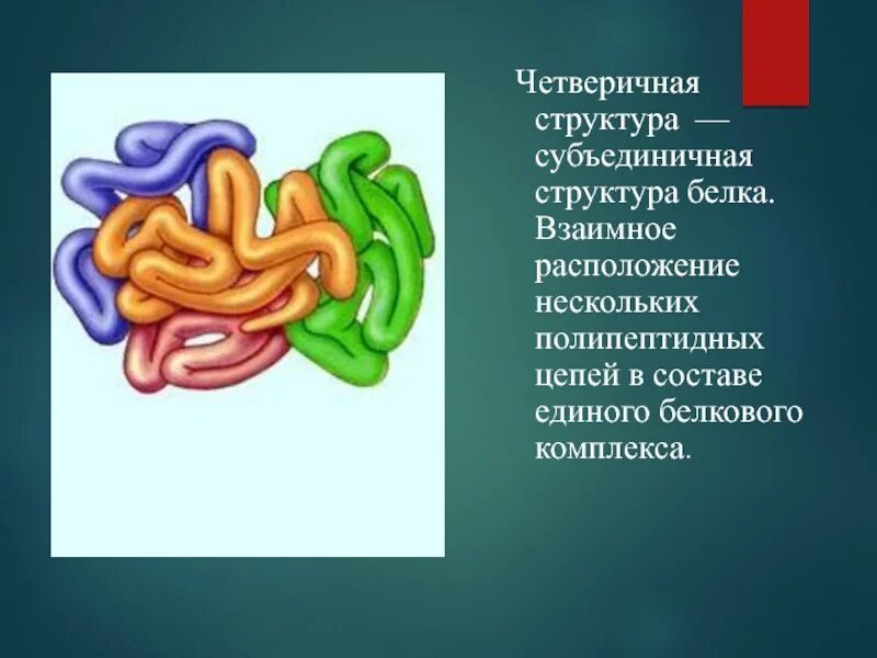 Комплекс из нескольких полипептидных цепей. Четверичная структура белка. белок состоящий из 4 полипептидных цепей. какие белки состоят из нескольких полипептидных цепей. цельная субъединичная.