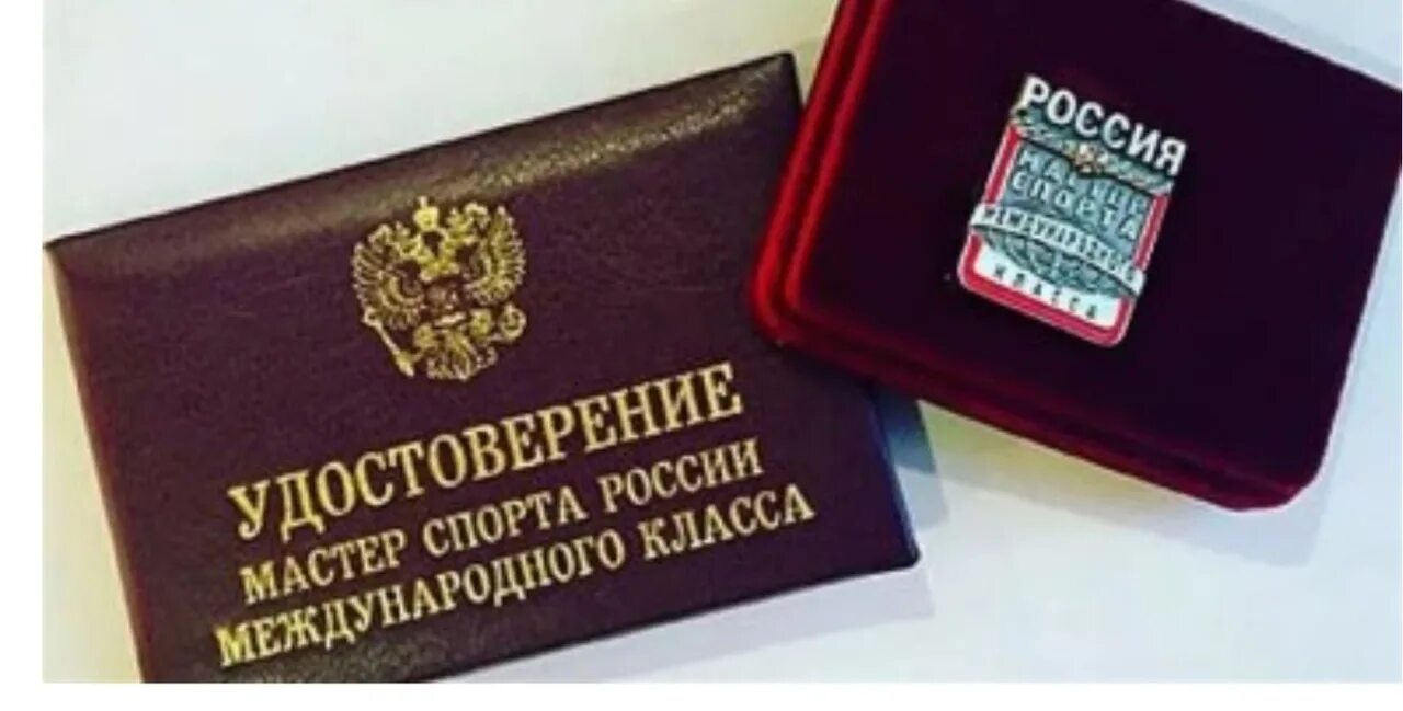 Мастер спорта международного класса. Значок кандидат в мастера спорта. Значок мастер спорта международного класса. Медаль мастера спорта. Мастер спорта международного класса.