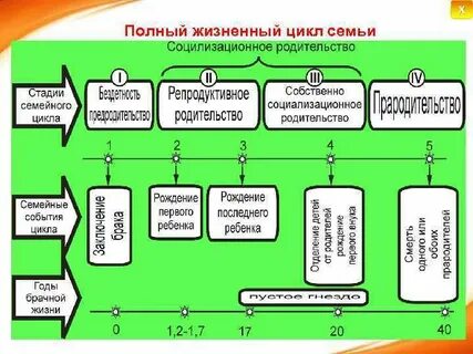 Жизненный цикл развития семьи