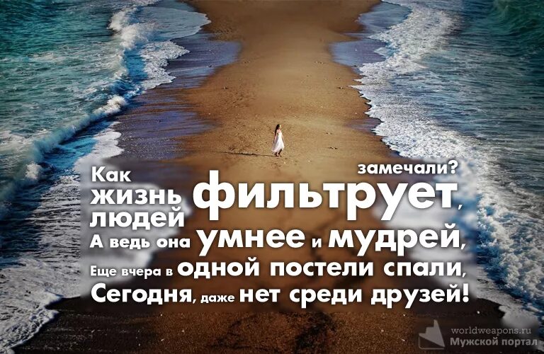 Интересные цитаты. Красивые и Мудрые высказывания. Цитаты про жизнь. Интересные высказывания о жизни. Как жить красивому человеку