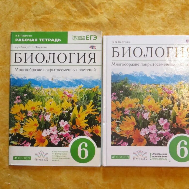 Биология тетрадь 6 класс лисов. Биология 6 класс рабочая тетрадь. Биология шестой класс рабочая тетрадь. Тетрадь по биологии 6 класс. Биология 6 класс рабочая тетрадь Пасечник.