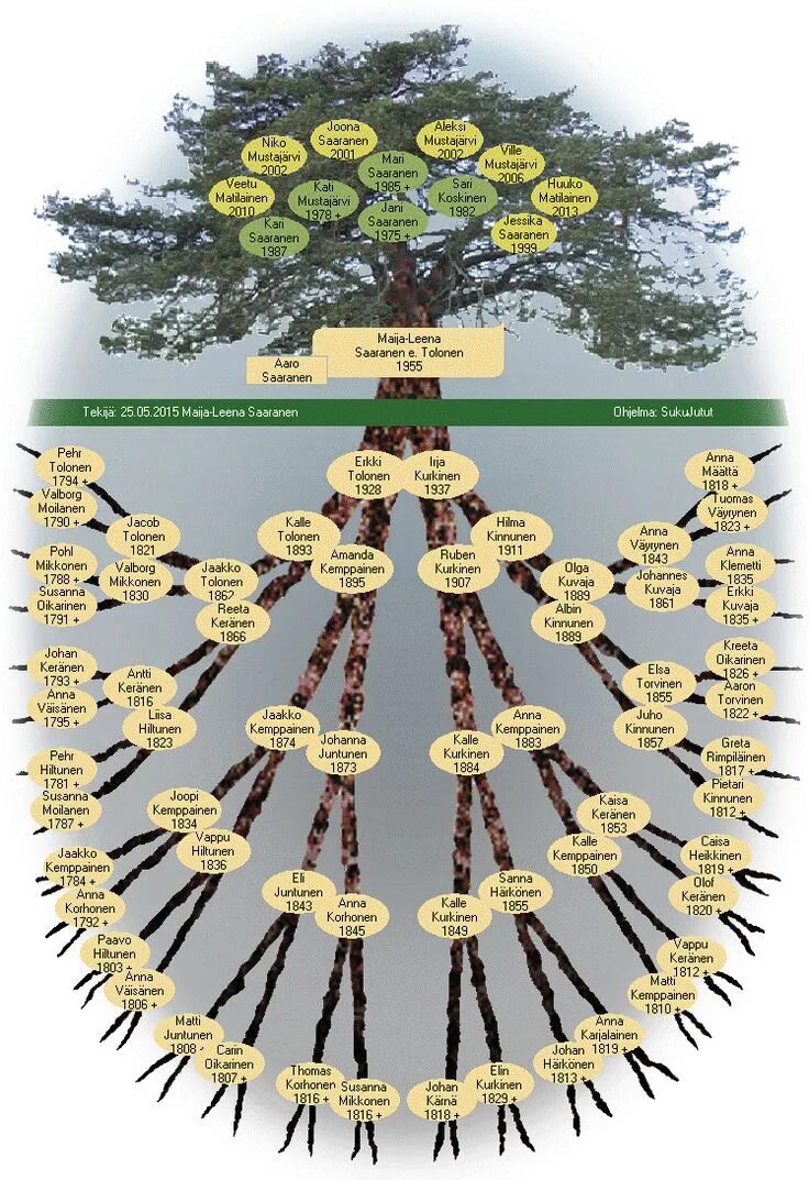 Найти свое древо. Родословная дерево схема. Как составить родословную дерево. Составление генеалогического древа. Составление геологического дерева.