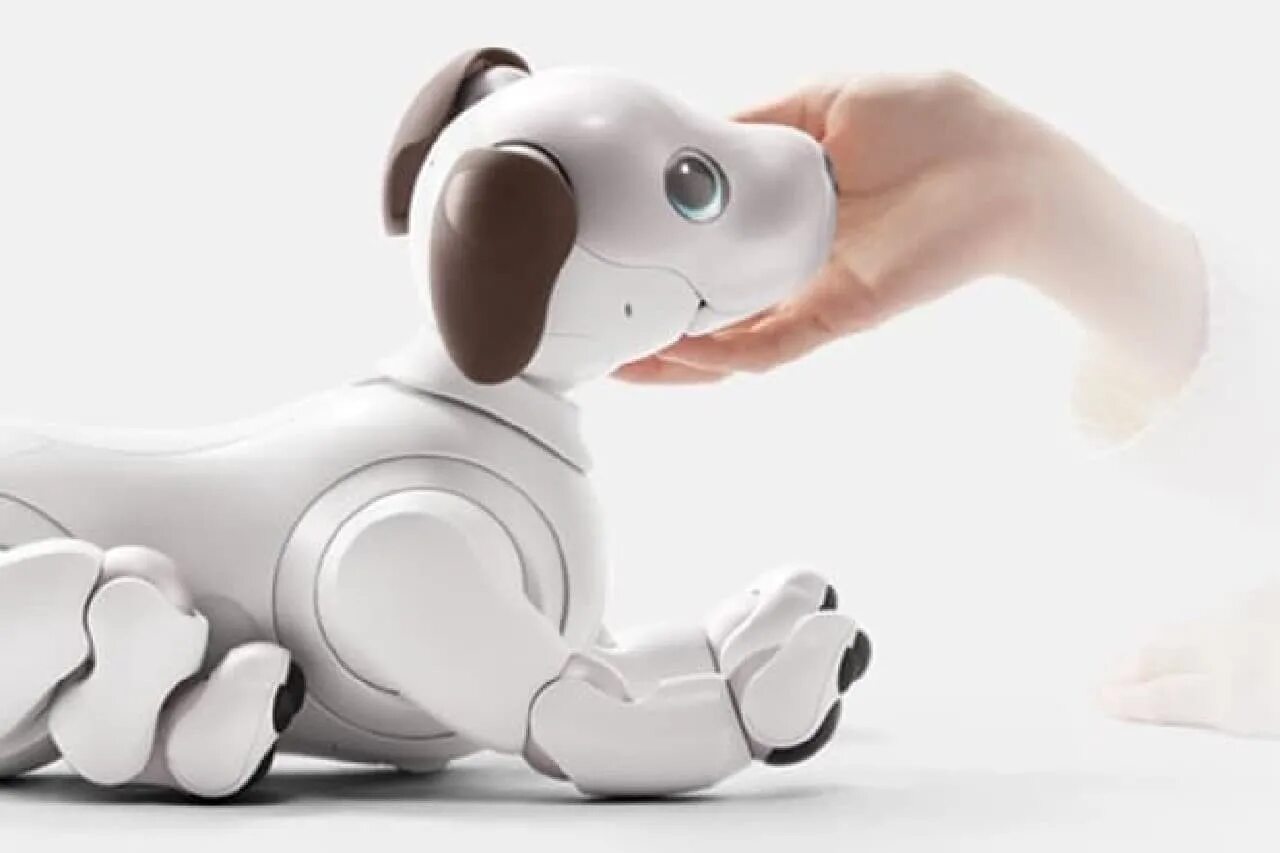 Робот собака Aibo. Aibo_Sony ers-1000. Aibo робот-собака от Sony. Робот собака сони Айбо. Недорогой качественный робот