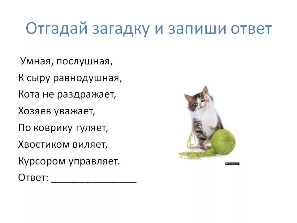 Загадки про котенка для 1 класса. Отгадывать загадки. Загадки отгадывать загадки. Угадывать загадки. Отгадки загадки и отгадки.