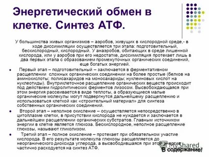 Атф обмен веществ