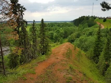 Медвежья поляна