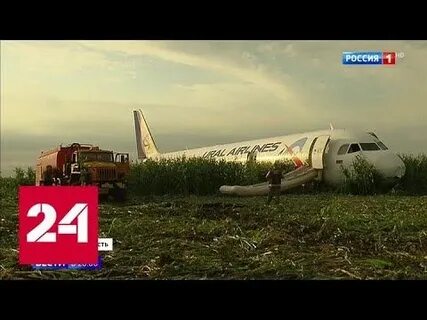 Какой самолет сел в кукурузное поле