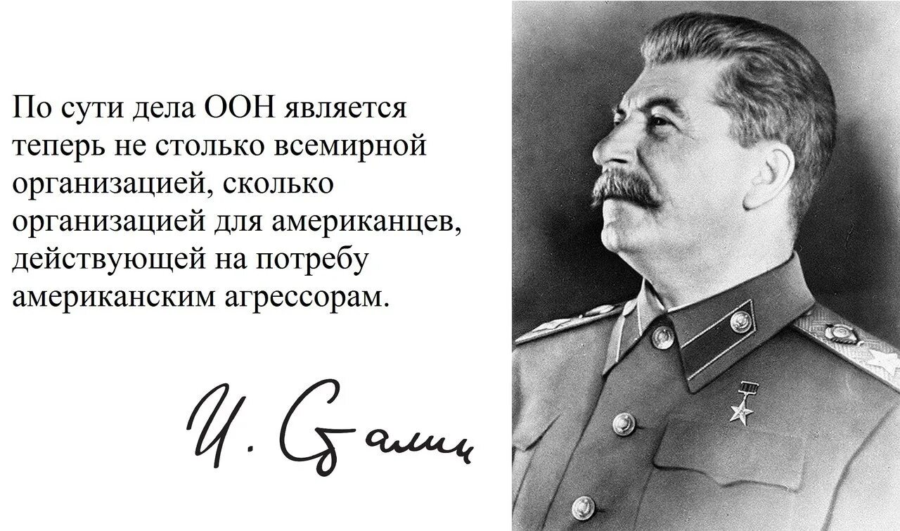 Высказывания Сталина. Слова Сталина. Сталин высказывания. Задачи партизанского движения.