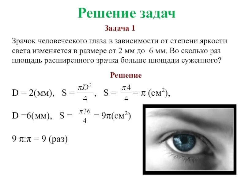 Размер человеческого глаза. Величина зрачка зависит от. Диаметр зрачка зависит от. Диаметр зрачка человеческого глаза.