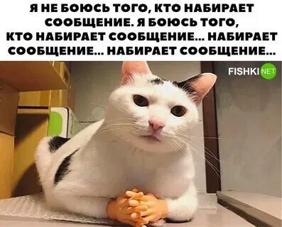 Боюсь ввести