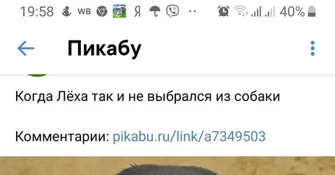 Человек пикабу