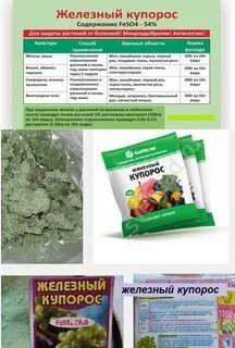 Железный купорос для обработки плодовых деревьев весной