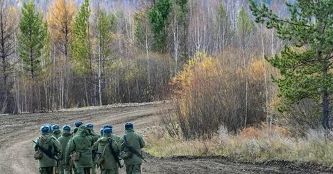 Говорят осенью будет мобилизация