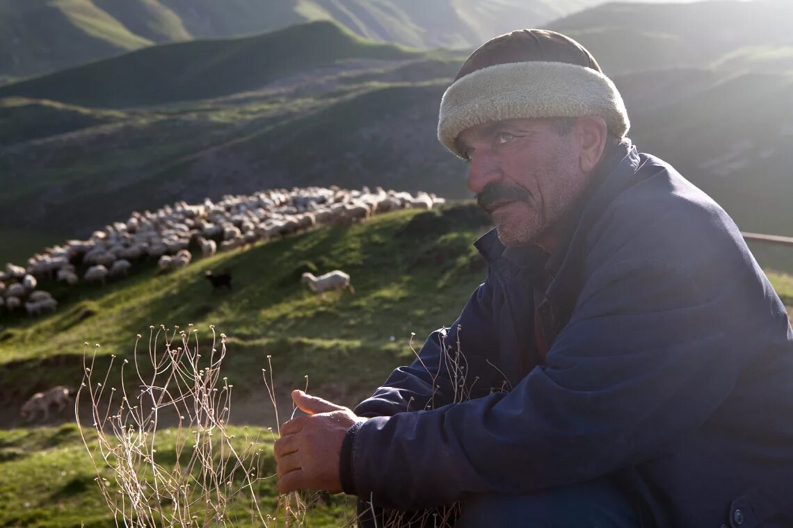 Алексей чабан. Чабанов александр семенович. Чабан киргиз. Грузинский чабан. Чабанов альберт александрович 10.