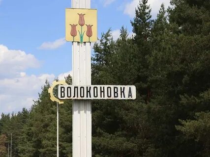 Тишанка белгородская область