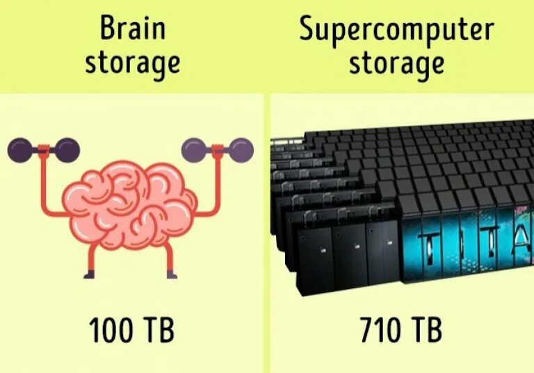 Сколько в мозгах памяти. Память мозга в терабайтах. Ёмкость мозга в терабайтах. Емкость памяти человеческого мозга. Объём памяти человеческого мозга в гигабайтах.