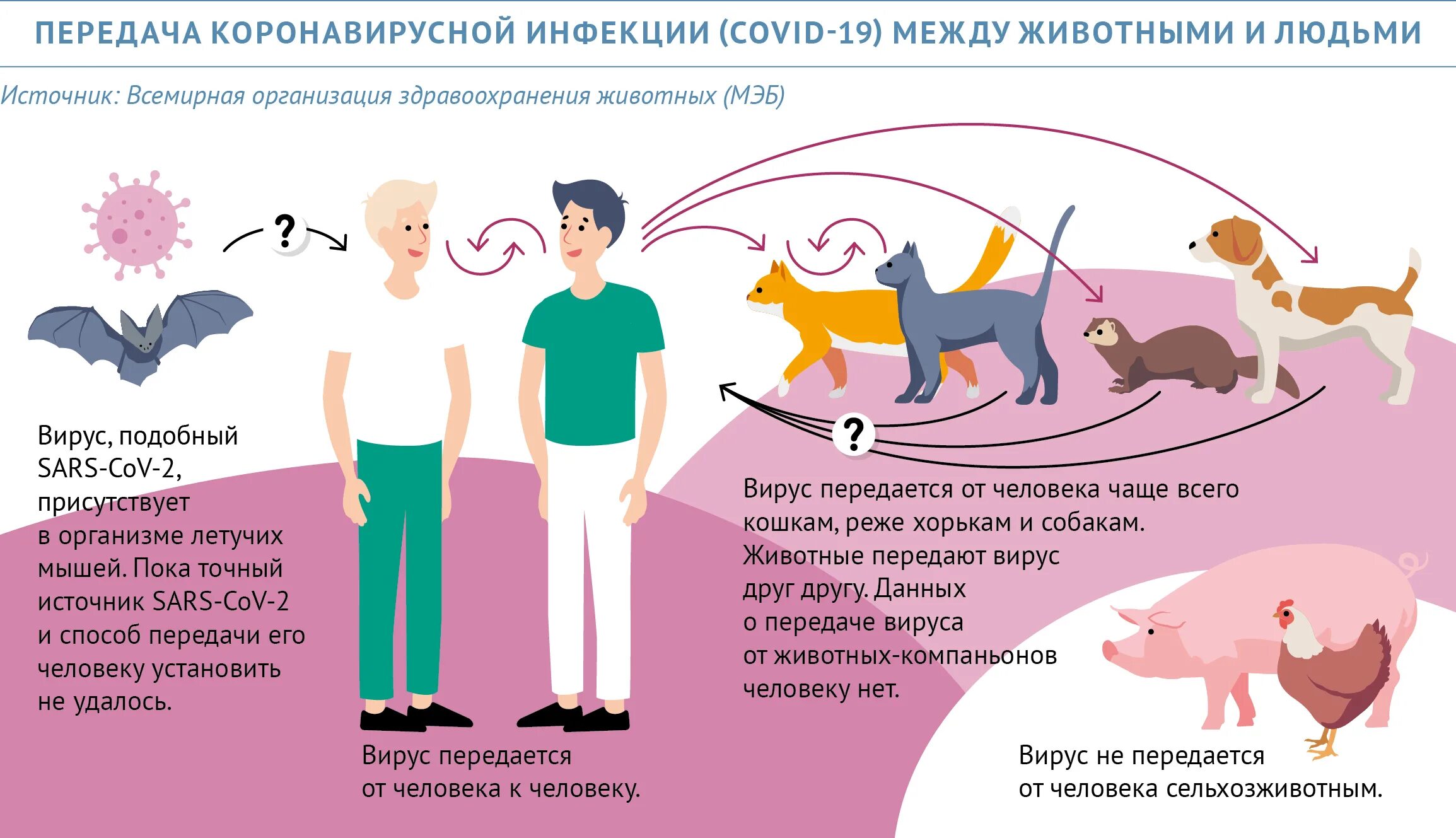 Коронавирус останется. Коронавирусная инфекция. Короновирусная инфекция источник инфекции. Пути передачи коронавирусной инфекции. Клинические признаки коронавирусной инфекции.