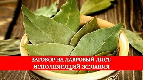 Лавровый лист для привлечения денег и удачи