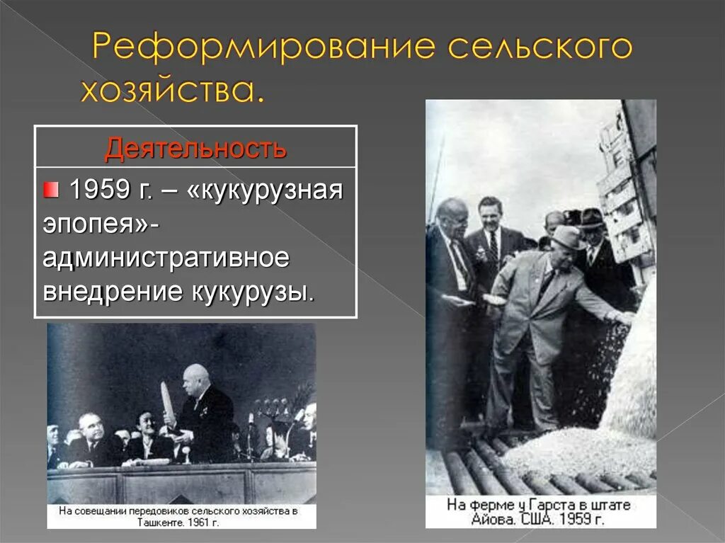 Реформа сельского хозяйства 1988. Гуманитарные науки при Хрущеве презентация. Реформа сельского хозяйства в 1930 годы кто участвовал. Реформы в сельском хозяйстве и политике в Японии после войны с США. Реформы в сельском хозяйстве и промышленности