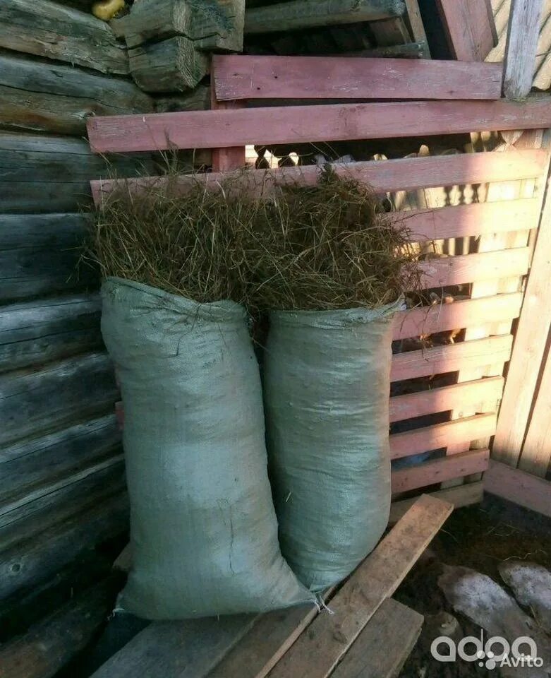 Саратовский область сена. Сено в мешках. Луговое сено в мешках. Сено в мешке зелёное. Товары упакованные в сено.