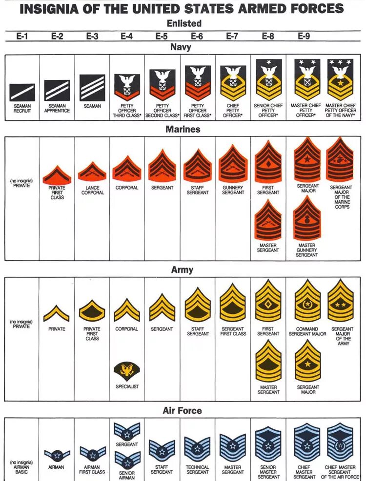 Us ranks. Погоны и звания в армии США. Воинские звания по возрастанию в армии США И погоны. Иерархия званий в армии США. Звания и знаки различия в армии США.