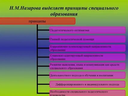 Общие и специальные принципы обучения