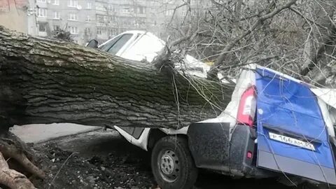 Ураган в калининграде сегодня