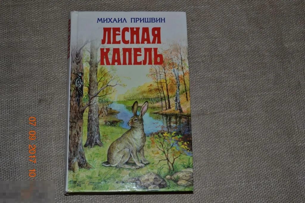 М М пришвин Лесная капель. Произведение Пришвина Лесная капель. Пришвин Лесная капель книга.