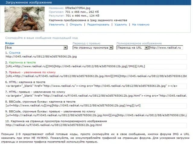 все песни target. Target blank. ссылка в html target.