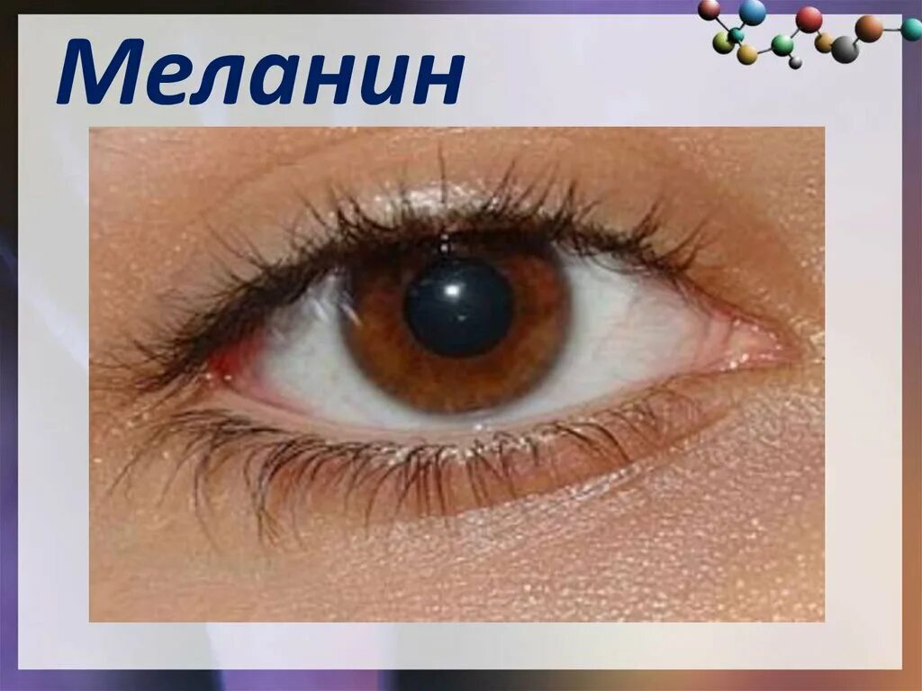 Меланин для чего. Меланин. пигмент меланин. выработка пигмента меланина. меланин в организме.